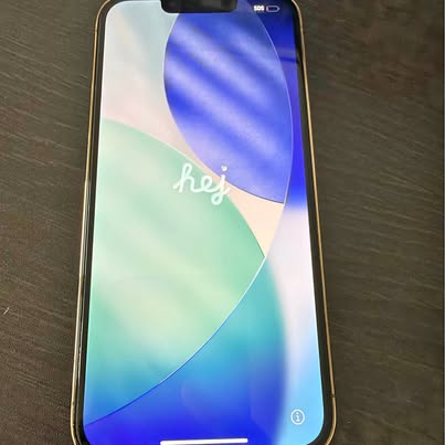 [$300] Iphone 13 Pro