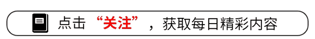 诈骗2.7万亿的缅北头目,还是女星小燕子的小叔子?内幕非同一般